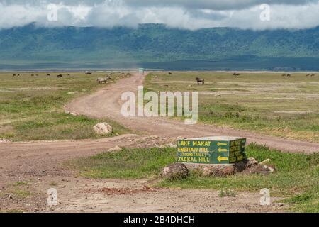 Tansania, Nordtansania, Serengeti-Nationalpark, Ngorongoro-Krater, Tarangire, Arusha und Lake Manyara, Schild im Ngorongoro-Krater Stockfoto