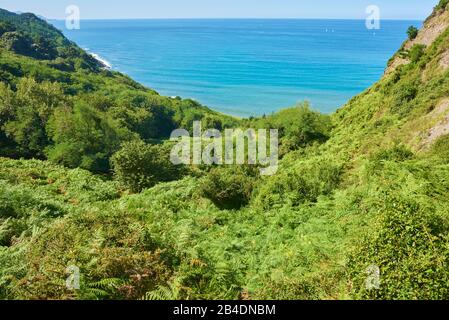 Landschaft, Küste, Geopark, Costa Vasca, Meer, zwischen Zumaia und Itxaspe, Baskenland, Spanien Stockfoto