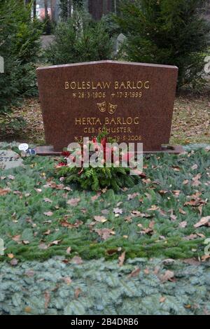 Greifen Sie, Boleslaw Barlog, Waldfriedhof, Potsdamer Chaussee, Zehlendorf, Berlin, Deutschland Stockfoto