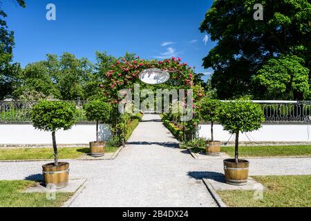 Deutschland, Baden-Württemberg, Bodensee, Salem, Schloss Salem, Hofgarten Stockfoto