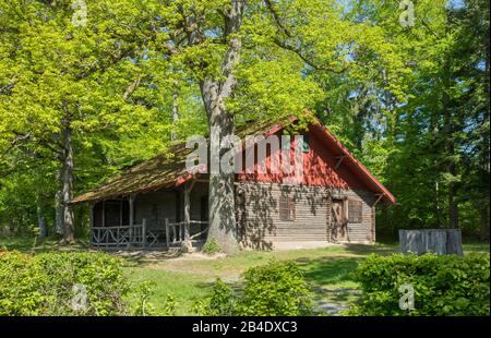 Deutschland, Baden-Württemberg, Tübingen - Bebenhausen, Königliches Jagdschloss im Schönbuch an der Steingart Stockfoto