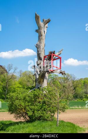 Deutschland, Baden-Württemberg, Ehningen - Mauren, Totbaum mit rotem Würfel, Kunst unterwegs Stockfoto