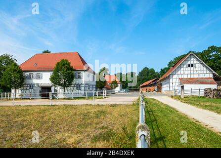 Deutschland, Baden-Württemberg, St. Johann, Haupt- und Landesgestüt Marbach - Vorwerk Fohlenhof Stockfoto