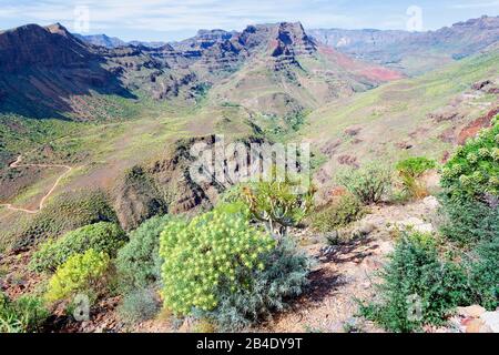 Berglandschaft in der Nähe von Soria, Gran Canaria, Kanarischen Inseln, Spanien Stockfoto