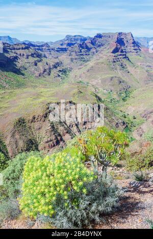 Berglandschaft in der Nähe von Soria, Gran Canaria, Kanarischen Inseln, Spanien Stockfoto