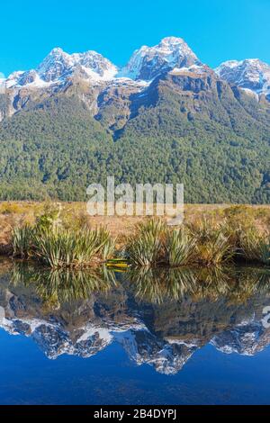 Schneebedeckte Berge, die in Lake Matheson, Milford Sound, Fiordland National Park, South Island, Neuseeland, reflektieren Stockfoto