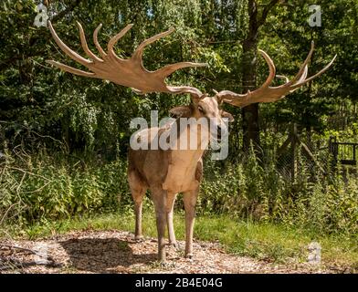 Giveskud, Dänemark - 16. juli 2020: Steinzeitliche Tiere in der Natur glauben Größen, wie sie waren, als sie am Leben waren Stockfoto