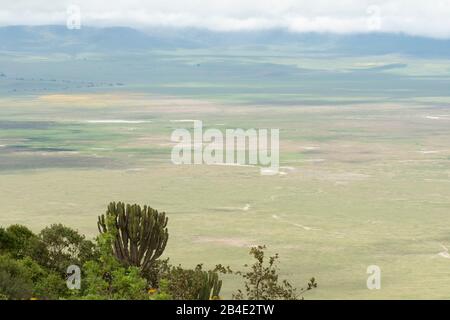 Eine Fuß-, Zelt- und Jeep-Safari durch Nordtansania am Ende der Regenzeit im Mai. Nationalparks Serengeti, Ngorongoro-Krater, Tarangire, Arusha und Lake Manyara. Blick vom Kraterrand Ngorongoro Stockfoto