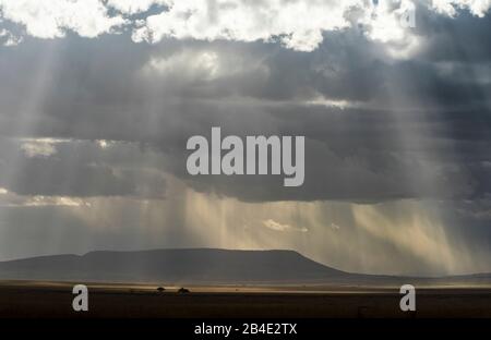 Eine Fuß-, Zelt- und Jeep-Safari durch Nordtansania am Ende der Regenzeit im Mai. Nationalparks Serengeti, Ngorongoro-Krater, Tarangire, Arusha und Lake Manyara. Leichte Stimmung über der Serengeti, Landschaft Stockfoto