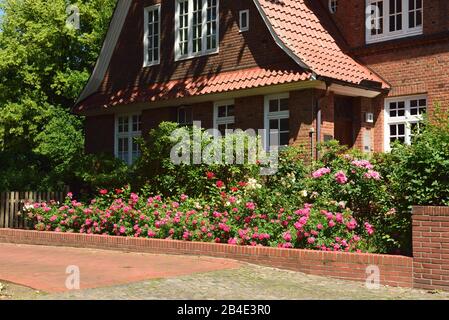 Europa, Deutschland, Hamburg, Bezirk Bergedorf, Schlossstr., Stadtvilla mit Rosen, Stockfoto