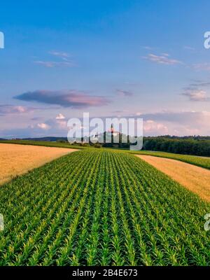 Landschaft mit Mais- und Getreidefeldern im Kloster Andechs, Fünf-Seen-Land, Oberbayern, Bayern, Deutschland, Europa Stockfoto