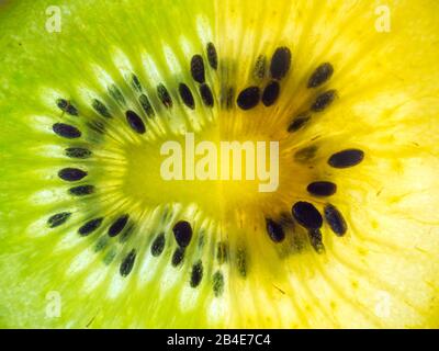 Halbe Scheiben grün und gelb Kiwi hell abstrakte Textur Stockfoto