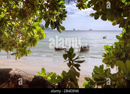 Blick durch die Bäume am Railay Beach auf zwei Langboote am Strand Stockfoto