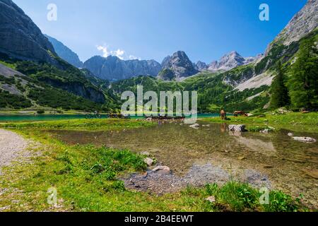 Seebensee, Österreich, Tyrol, Ehrwald Stockfoto