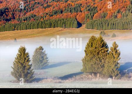 Cansignio Hochebene, nebeliger Morgen auf dem Hochplateau im Herbst, Alpago, Belluno, Venetien, Italien Stockfoto