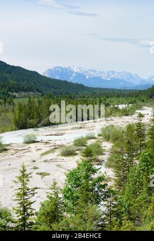 Lenggries, Isar, alpiner Wildfluss, Schotterufer, Wettersteingebirge in Oberbayern, Garmisch-Partenkirchen, Oberbayern, Bayern/Bayern, Deutschland Stockfoto