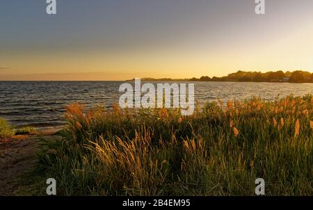 Klippe und Naturstrand auf der Reddvitzer Höft bei Alt-Reddevitz im Biosphärenreservat Südost-Rügen, Mönchgut-Granitz, Landkreis Westpomerania-Rügen, Mecklenburg-Vorpommern, Deutschland Stockfoto