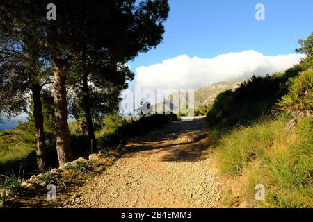 Landschaft und Klippen in der Nähe von Betlem auf der Halbinsel Llevant im Naturpark Llevant, Mallorca, Balearen, Spanien Stockfoto