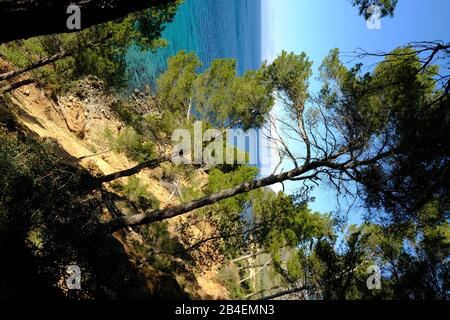 Landschaft und Klippen in der Nähe von Betlem auf der Halbinsel Llevant im Naturpark Llevant, Mallorca, Balearen, Spanien Stockfoto