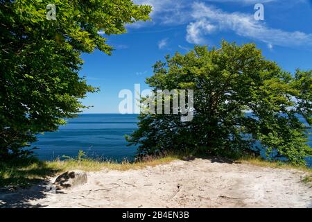 Chalk-Küste im Nationalpark jasmund auf Rügen, Landkreis Vorpomern-Rügen, Mecklenburg-Vorpommern, Deutschland Stockfoto