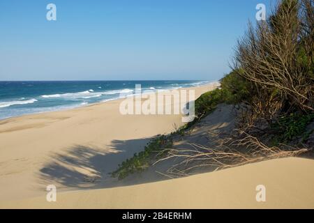 Strand im Indischen Ozean am Kap Vidal. Stockfoto