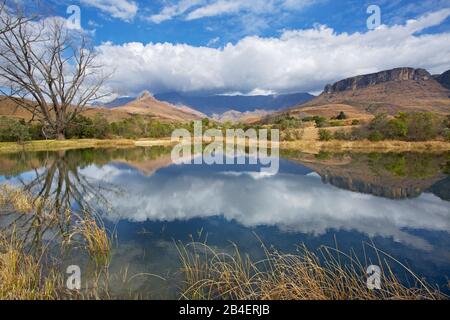 In einem kleinen See in der Nähe des Royal Natal Visitor Center im Drakensberg spiegelt sich die wolkenverkleidete Felswand des Amphitheaters wider. Stockfoto