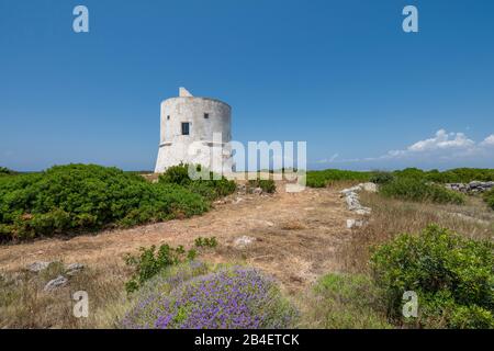 Punta Pizzo, Gallipoli, Salento, Apulien, Italien, Europa. Der Turm von Punta Pizzo Stockfoto