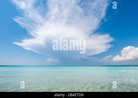 Punta Pizzo, Gallipoli, Salento, Apulien, Italien, Europa. Das türkisfarbene Meer am Strand von Punta Pizzo Stockfoto