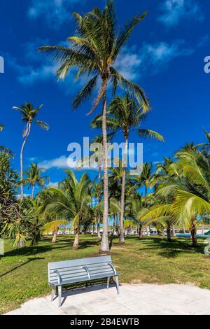 Bank im Lummus Park, Miami Beach, Miami-Dade County, Florida, USA, Nordamerika Stockfoto