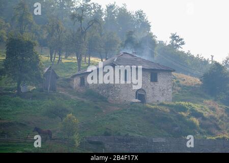 Altes Bauernhaus im Morgennebel in Berane, Montenegro Stockfoto