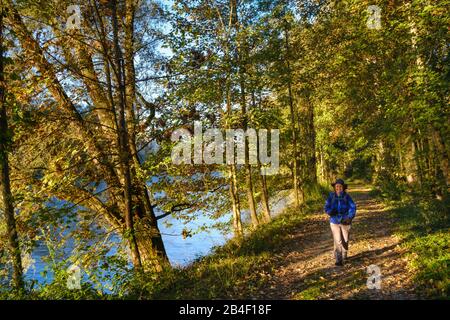 Frau auf der Isar, Naturschutzgebiet Isarauen am Niederhummel, Oberbayern, Bayern, Deutschland Stockfoto