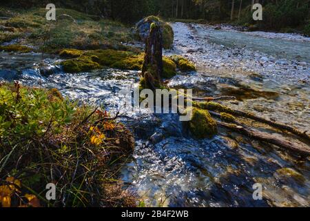 Mündungsgebiet von Lafatscherbach in die Isar, Hinterautal, bei Scharitz, Karwendel, Tyrol, Österreich Stockfoto