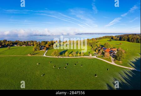 Starnberger See, Ambach und Luigenkam, bei Münsing, Drohnenaufnahme, Fünfseenland, Oberbayern, Bayern, Deutschland Stockfoto