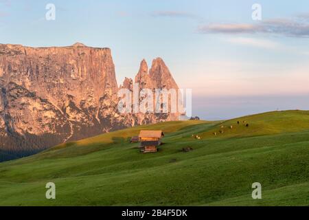 Seiser Alm, Kastelruth, Südtirol, Provinz Bozen, Italien, Europa. Sonnenaufgang auf der Seiser Alm mit Blick zum Schlern Stockfoto