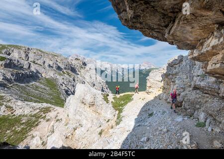 Misurina, Auronzo di Cadore, Provinz Belluno, Venetien, Italien. Kletterer auf dem Weg auf der Via ferrata 'Bonacossa' in der cadini-gruppe Stockfoto