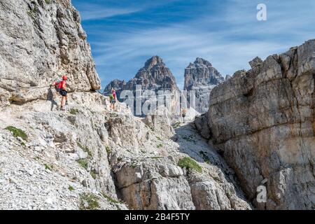 Misurina, Auronzo di Cadore, Provinz Belluno, Venetien, Italien. Kletterer auf dem Weg auf der Via ferrata 'Bonacossa' in der cadini-gruppe Stockfoto