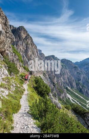 Misurina, Auronzo di Cadore, Provinz Belluno, Venetien, Italien. Kletterer auf dem Weg auf der Via ferrata 'Bonacossa' in der cadini-gruppe Stockfoto