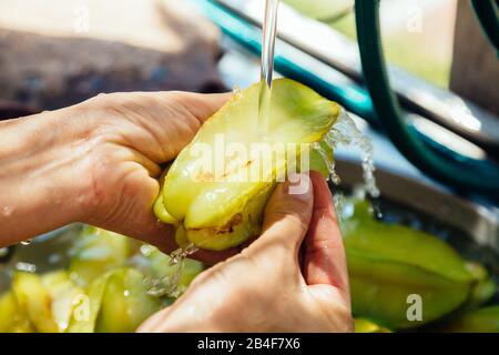 Nahaufnahme der Frau, die frische organische Sternfrucht (Averrhoa carambola), alias Carambola, waschen, unter fließendem Wasser spülen und mit den Fingern scheuern Stockfoto