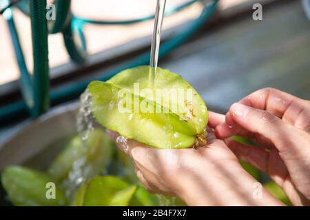 Nahaufnahme der Frau, die frische organische Sternfrucht (Averrhoa carambola), alias Carambola, waschen, unter fließendem Wasser spülen und mit den Fingern scheuern Stockfoto