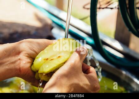 Nahaufnahme der Frau, die frische organische Sternfrucht (Averrhoa carambola), alias Carambola, waschen, unter fließendem Wasser spülen und mit den Fingern scheuern Stockfoto