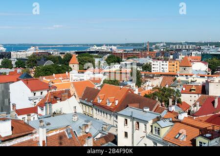 Estland, Tallinn, Blick vom Rathaus in Richtung Altstadt und Neustadt Stockfoto