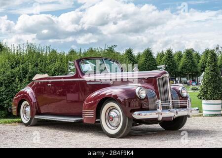 Schwetzingen, Baden-Württemberg, Deutschland, Packard, Typ 120, Baujahr 1941, Kapazität 282 cui, 120 bhp, Concours d'Elégance im Schlosspark Stockfoto