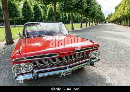 Schwetzingen, Baden-Württemberg, Deutschland, Chevrolet, Bel Air, Baujahr 1959, Concours d'Elégance im Schlosspark Stockfoto