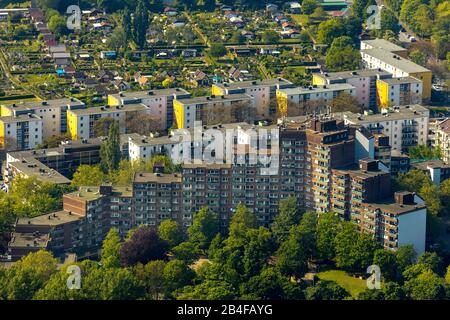 Luftbild zum Wohngebiet in der Molbergstraße mit dem markanten Terrassengebäude in Duisburg im Kreis Angerhausen in der Metropolregion Rhein-Ruhrgebiet im Bundesland Nordrhein-Westfalen, Deutschland Stockfoto