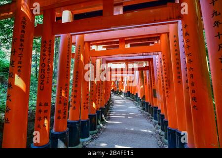 Fushimi Inari Schrein, Kyoto, Honshu, Japan Stockfoto