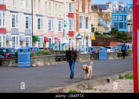 Weymouth. März 2020. Wetter in Großbritannien. Die Menschen beginnen das Wochenende früh, wenn Sonnenschein in die Stadt zurückkehrt. Kredit: Stuart frettwell/Alamy Live News Stockfoto