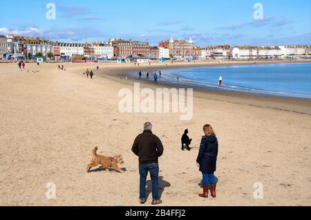 Weymouth. März 2020. Wetter in Großbritannien. Die Menschen beginnen das Wochenende früh, wenn Sonnenschein in die Stadt zurückkehrt. Kredit: Stuart frettwell/Alamy Live News Stockfoto