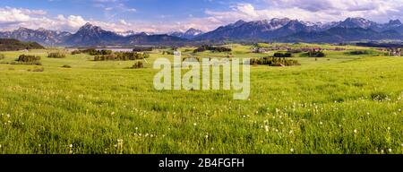 Panorama Landschaft in Bayern mit Hopfensee im Allgäu und der Bergkette der Alpen mit Berg Säuling vor Füssen. Stockfoto