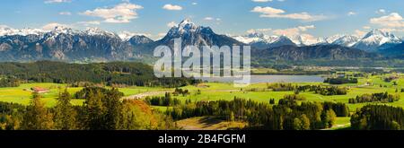 Panorama Landschaft in Bayern mit Hopfensee im Allgäu und der Bergkette der Alpen mit Berg Säuling vor Füssen. Stockfoto