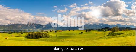 Panorama Landschaft im Allgäuer bei Füssen mit Alpenkette Stockfoto